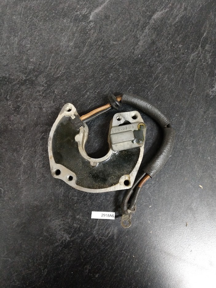 2918A6 Mercury Trigger Assembly